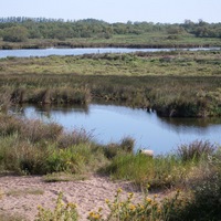 Photo de France - La randonnée de la Tamarissière